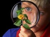 2026合肥做试管婴儿比较好的医院排名，附三代试管助孕限制条件一览