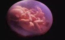 2026吉林试管医院成功率排行及三代试管限制条件一览，火速收藏