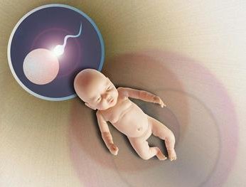 2026合肥市助孕公司排名榜已发布，前十助孕机构联系方式快收藏